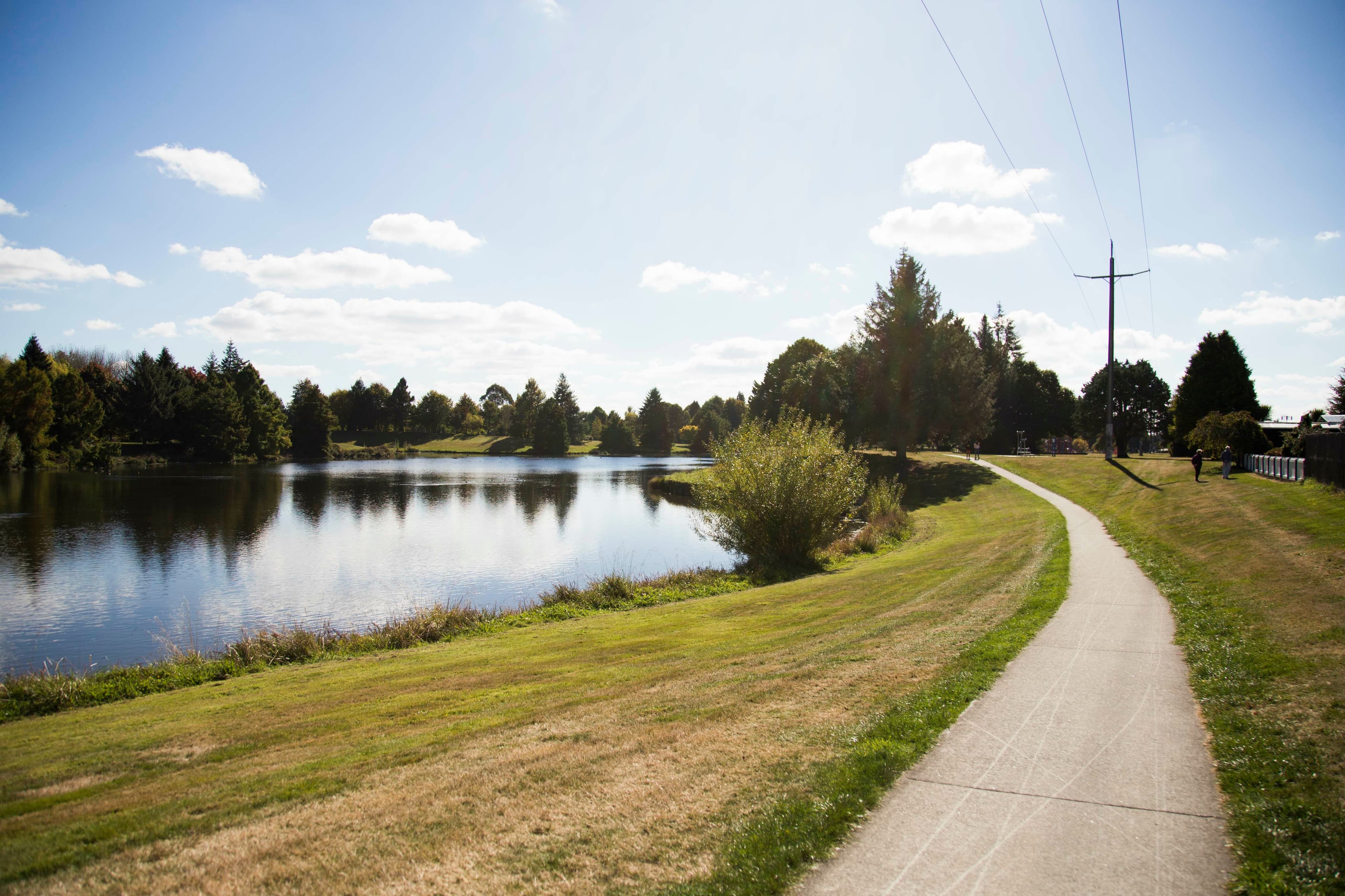 A walking path through native bush by the lake near Tokoroa