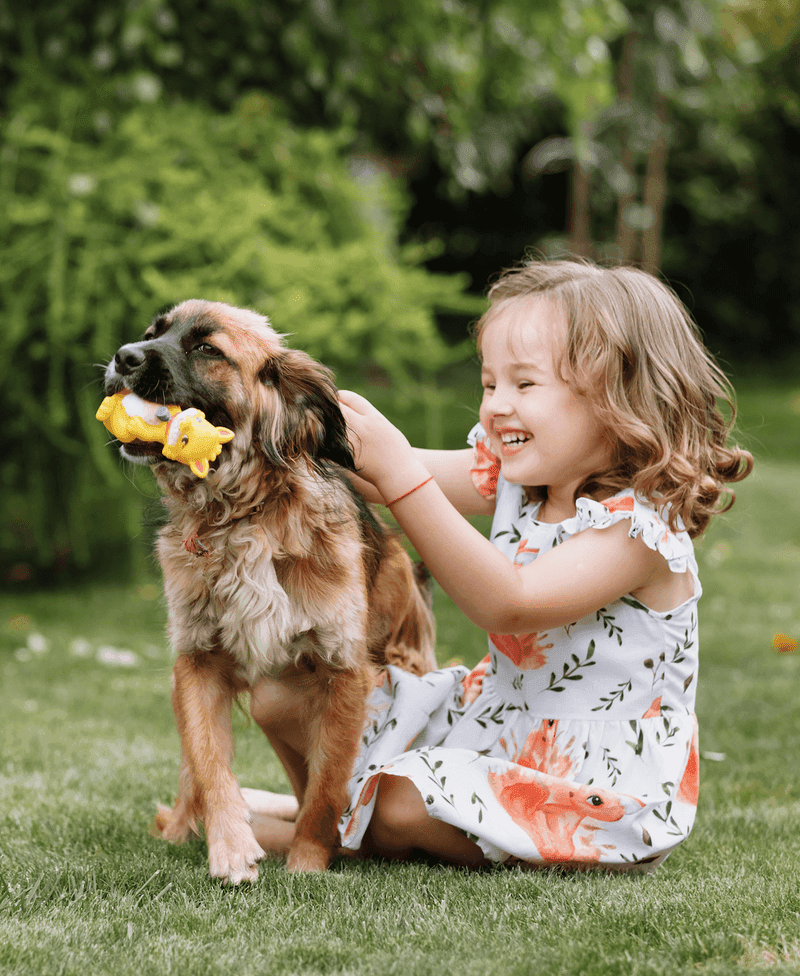 Young girl playing with her dog on a lawn