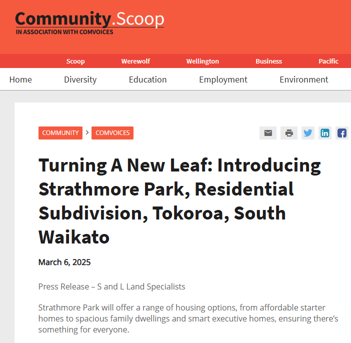 Newsletter Vol. 2 — April 2025 — image 5
